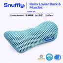 Snuffly® Lumbar Support Pillow